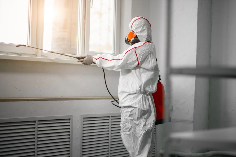 Professional mold remediation services in Mattapoisett, MA